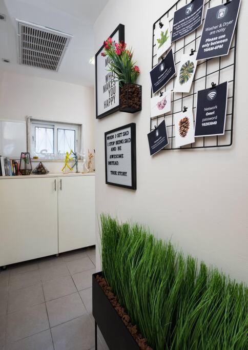 Apartmán Eliyahu Salman #1 Jeruzalém Exteriér fotografie