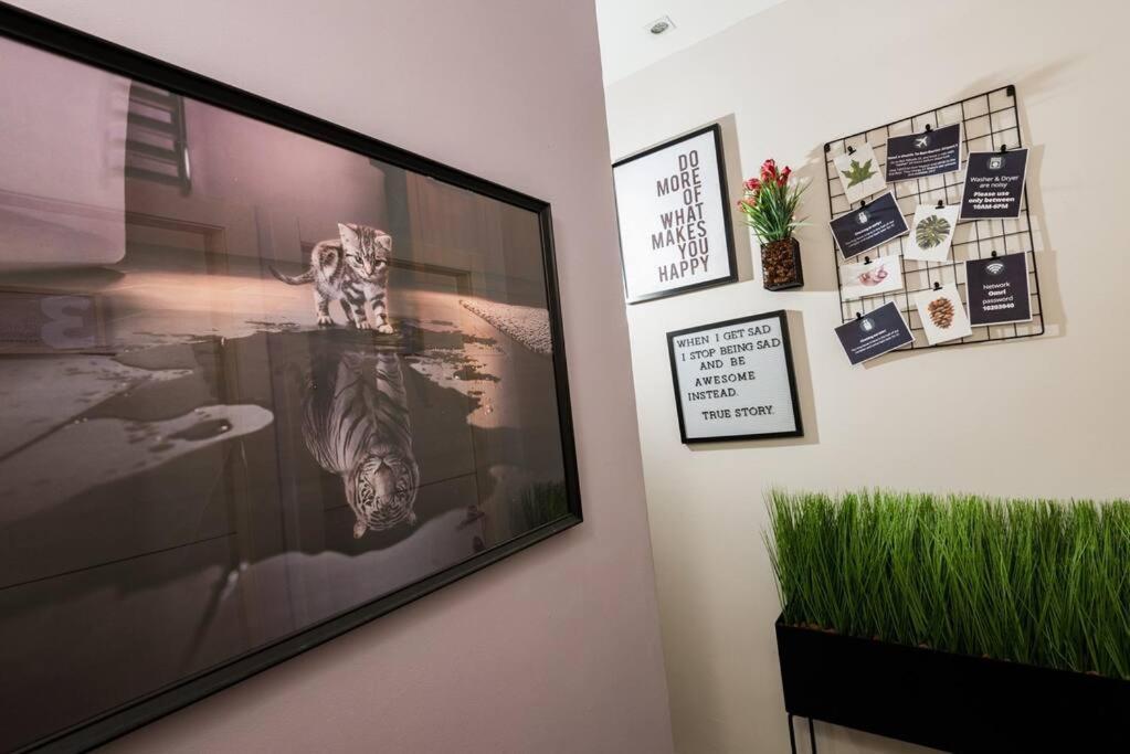 Apartmán Eliyahu Salman #1 Jeruzalém Exteriér fotografie